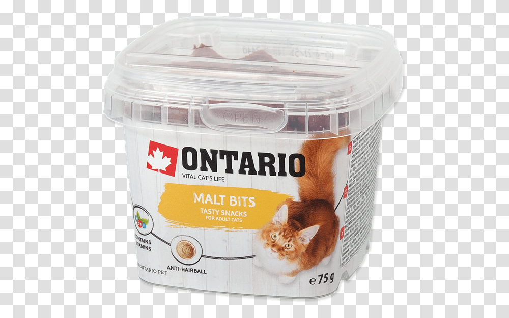 Ontario Granule, Dessert, Food, Yogurt, Cat Transparent Png