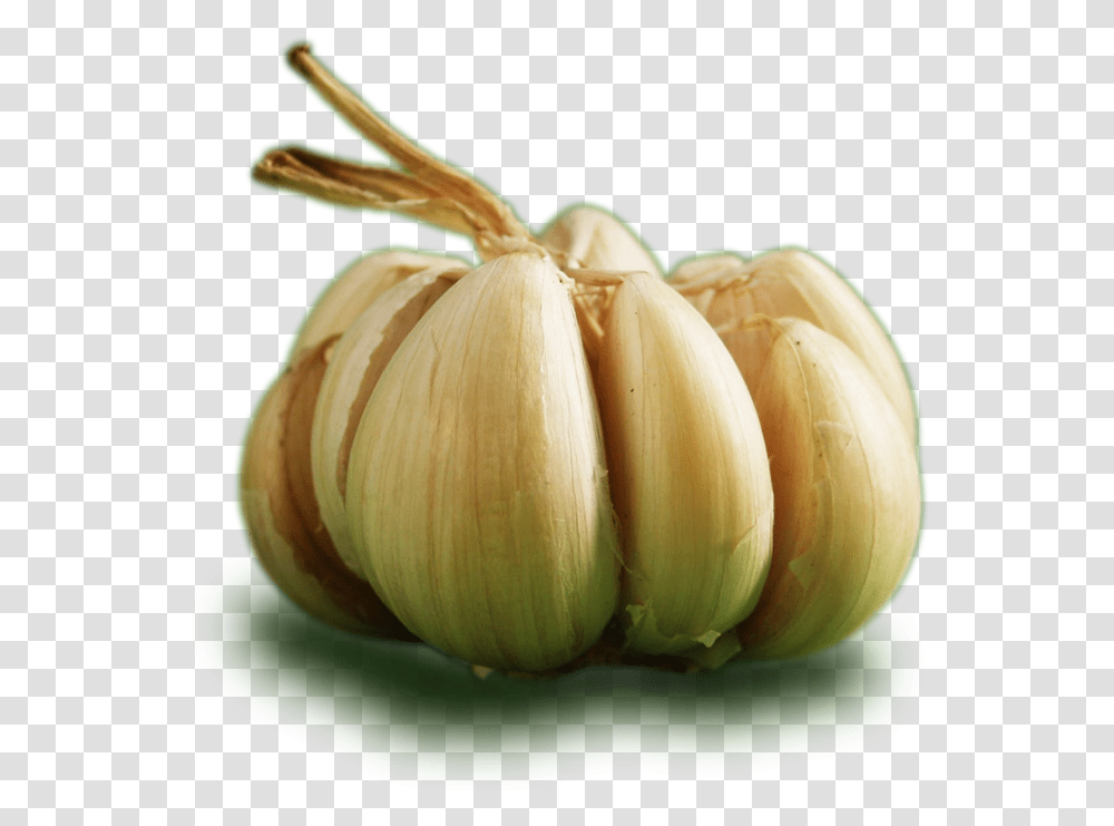 Ontos Garlic Garlic Garlic, Plant, Banana, Fruit, Food Transparent Png