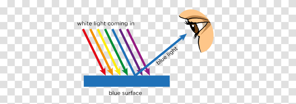 Opaque And Substances Visible Light Siyavula Absorption Ray Diagram, Incense Transparent Png