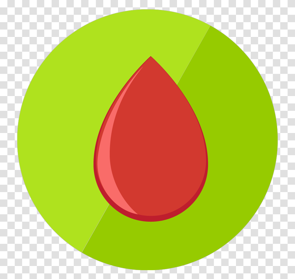 Opaque Background Circle, Tennis Ball, Sport, Sports, Plant Transparent Png