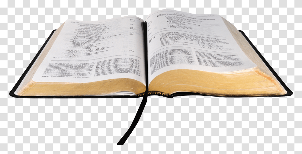 Open Bible, Book, Page, Paper Transparent Png