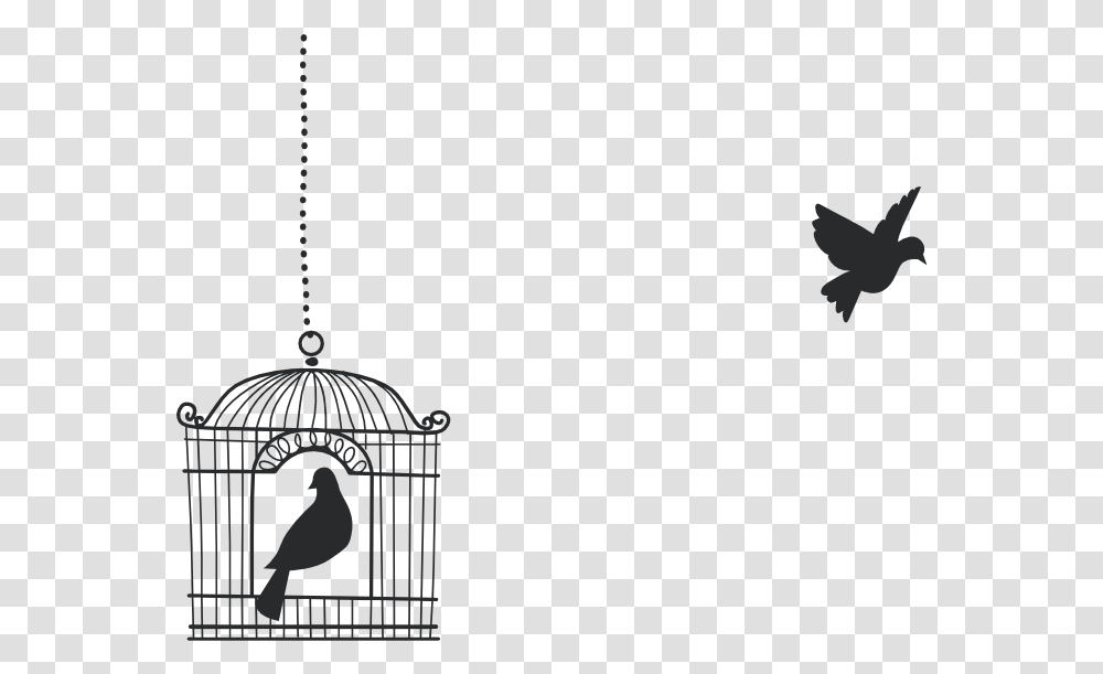 Open Bird Cage Birds Flying From Cage, Animal, Lantern, Lamp, Hourglass Transparent Png