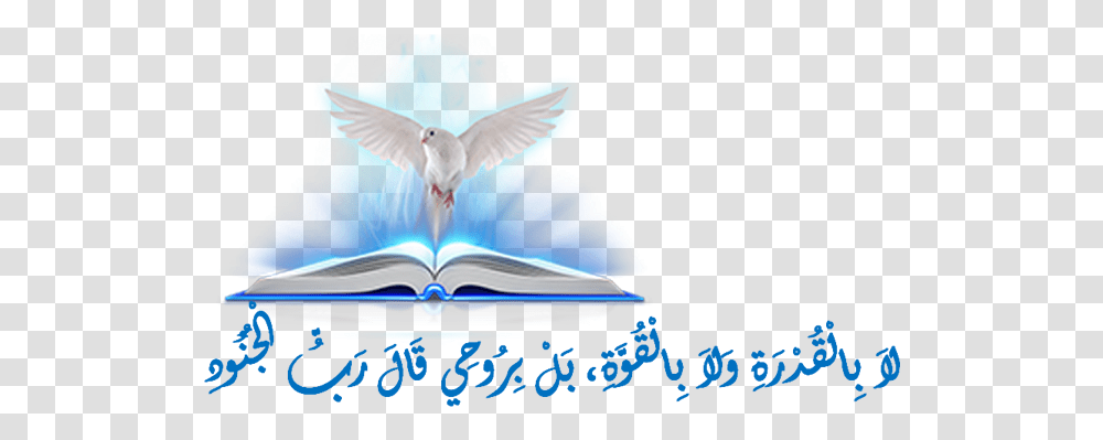 Open Book With Light, Bird, Animal, Turquoise Transparent Png