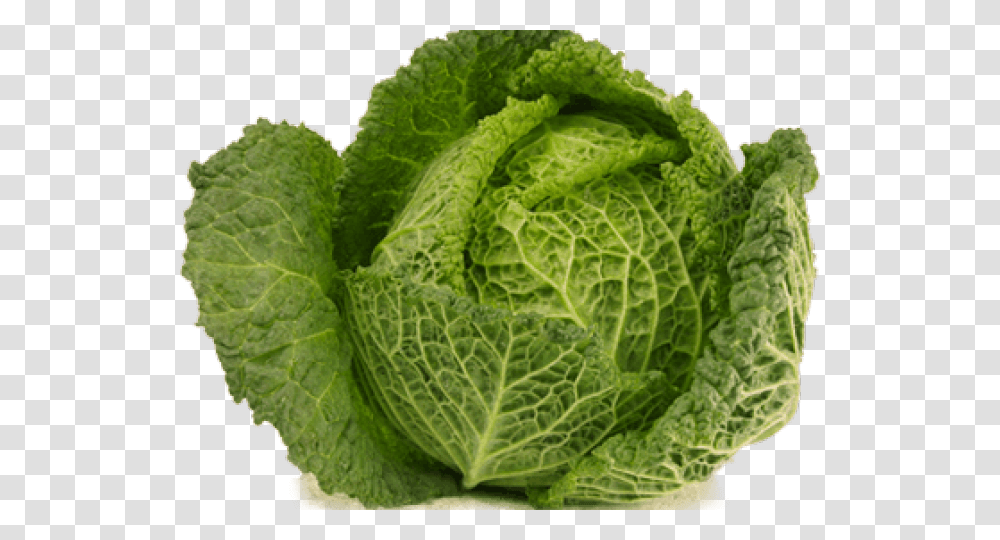 Open Cabbage Kapusta, Plant, Vegetable, Food, Head Cabbage Transparent Png