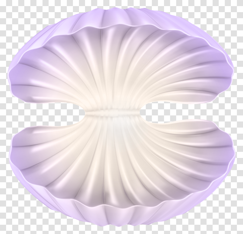 Open Clam Shell Clipart Scallop Transparent Png