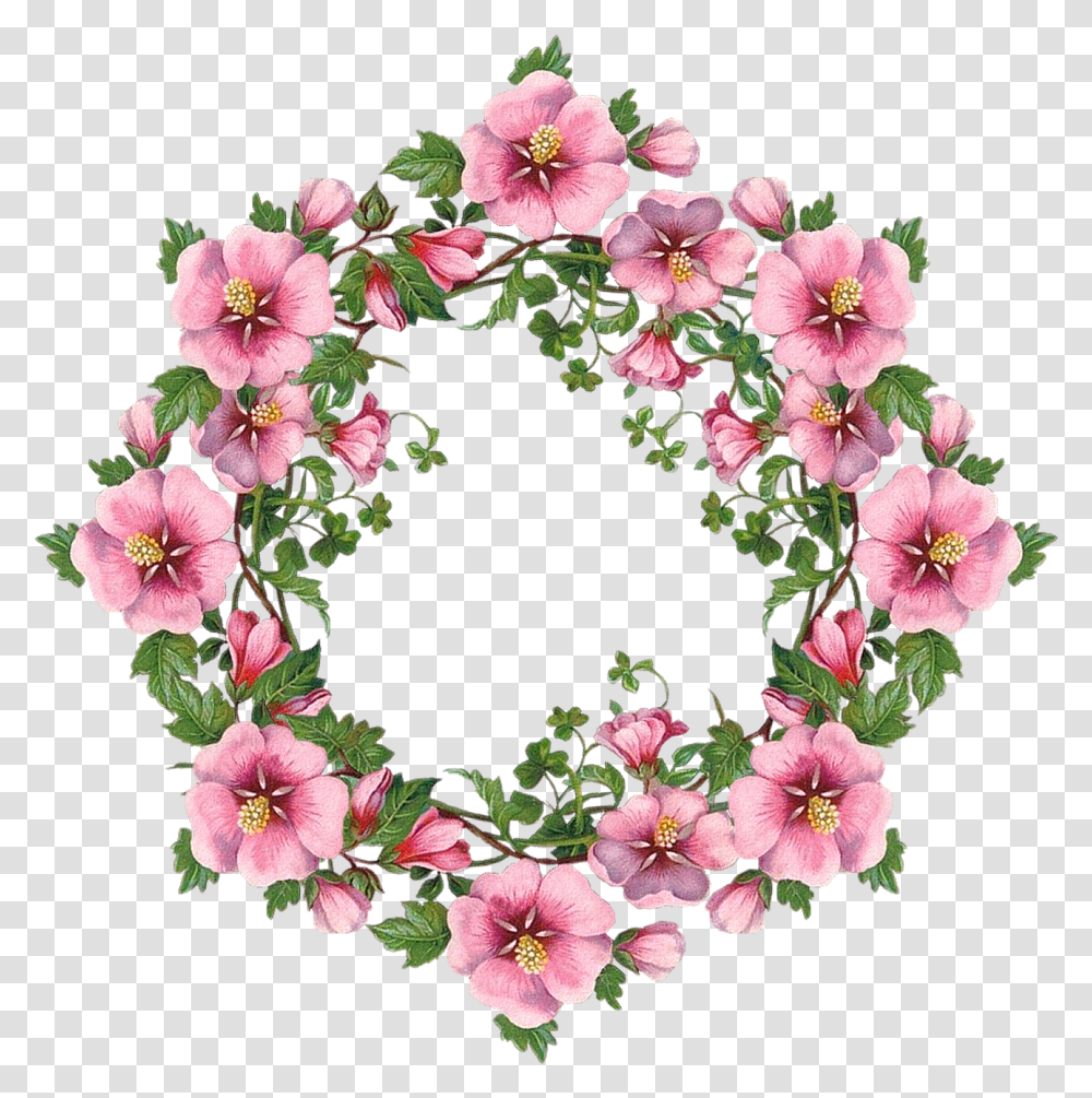 Open Full Size Scrapbook Images Flower Frame Art Snapchat Crown, Plant, Blossom, Geranium, Hibiscus Transparent Png