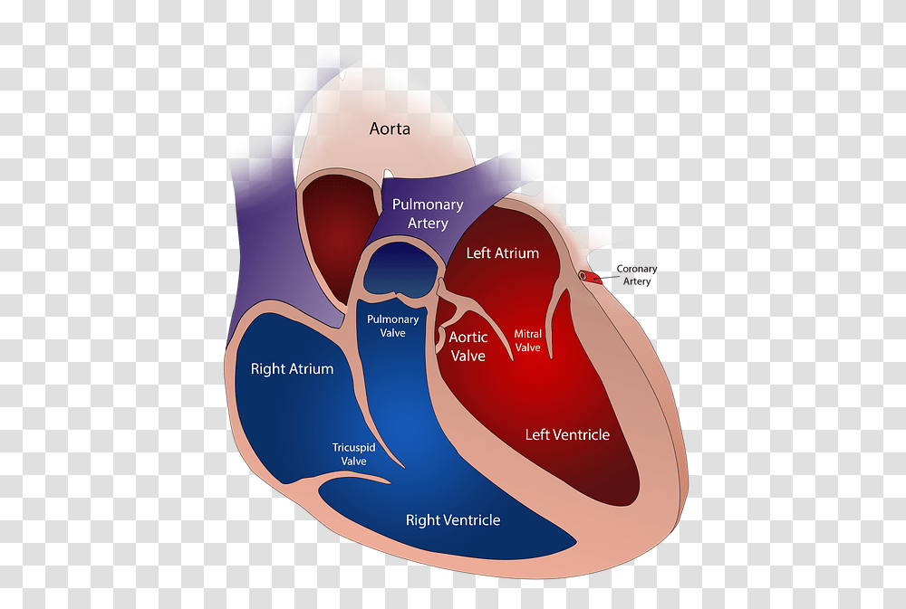 Open Heart, Diagram, Plot, Mountain, Nature Transparent Png