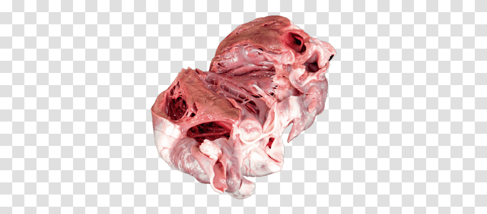Open Heart Venison, Crystal, Figurine, Accessories, Accessory Transparent Png