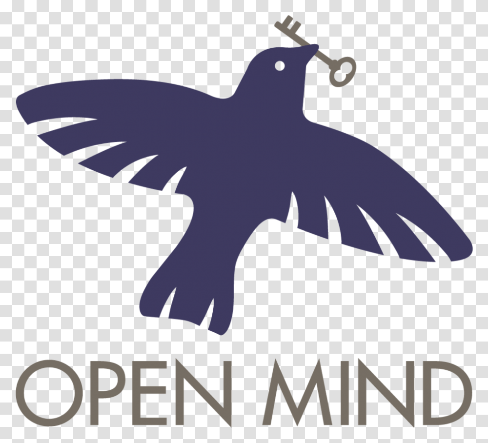 Open Mind Strategy, Animal, Bird, Pigeon, Dove Transparent Png