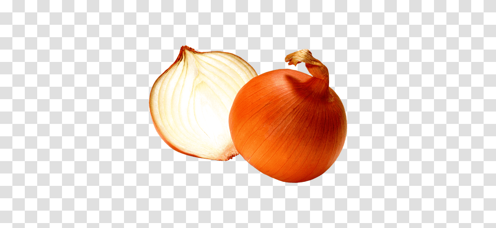 Open Onion, Lamp, Plant, Shallot, Vegetable Transparent Png