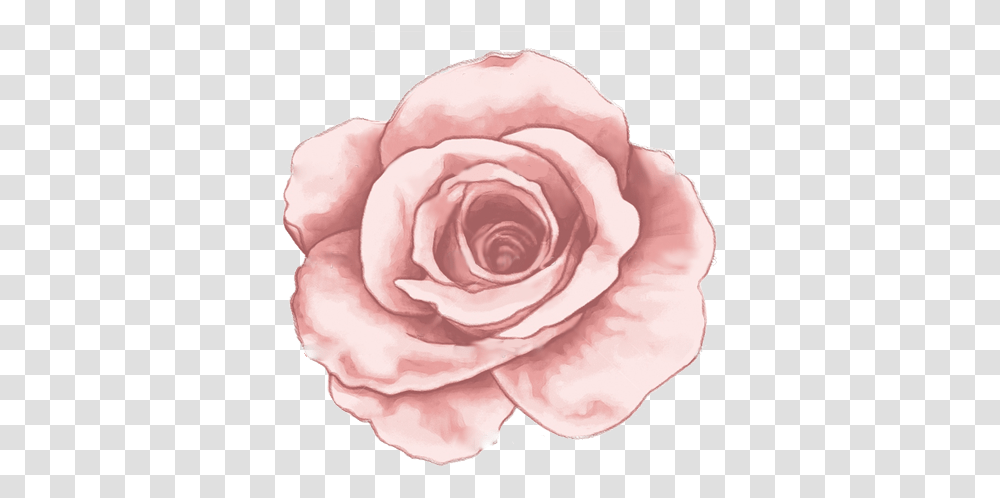 Open Rose Tattoo Full Size Download Seekpng Open Rose Tattoo, Flower, Plant, Blossom, Person Transparent Png