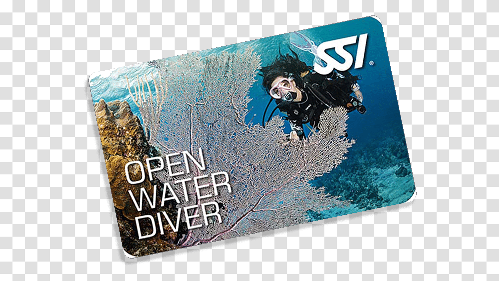 Open Water Diver, Passport, Person Transparent Png