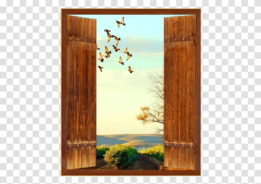 Open Window Window, Bird, Wood, Outdoors, Hardwood Transparent Png