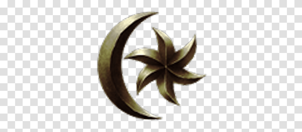 Openmw Project Morrowind Moon And Star, Plant, Leaf, Symbol, Star Symbol Transparent Png