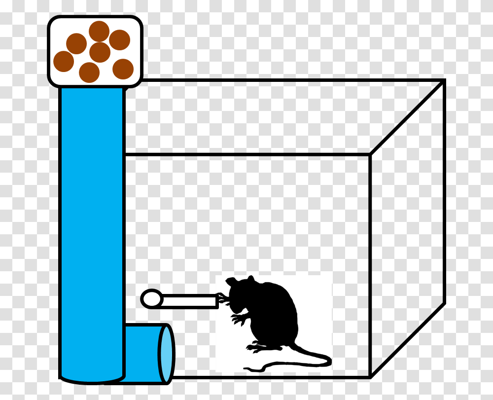 Operant Conditioning, Cat, Pet, Mammal, Animal Transparent Png