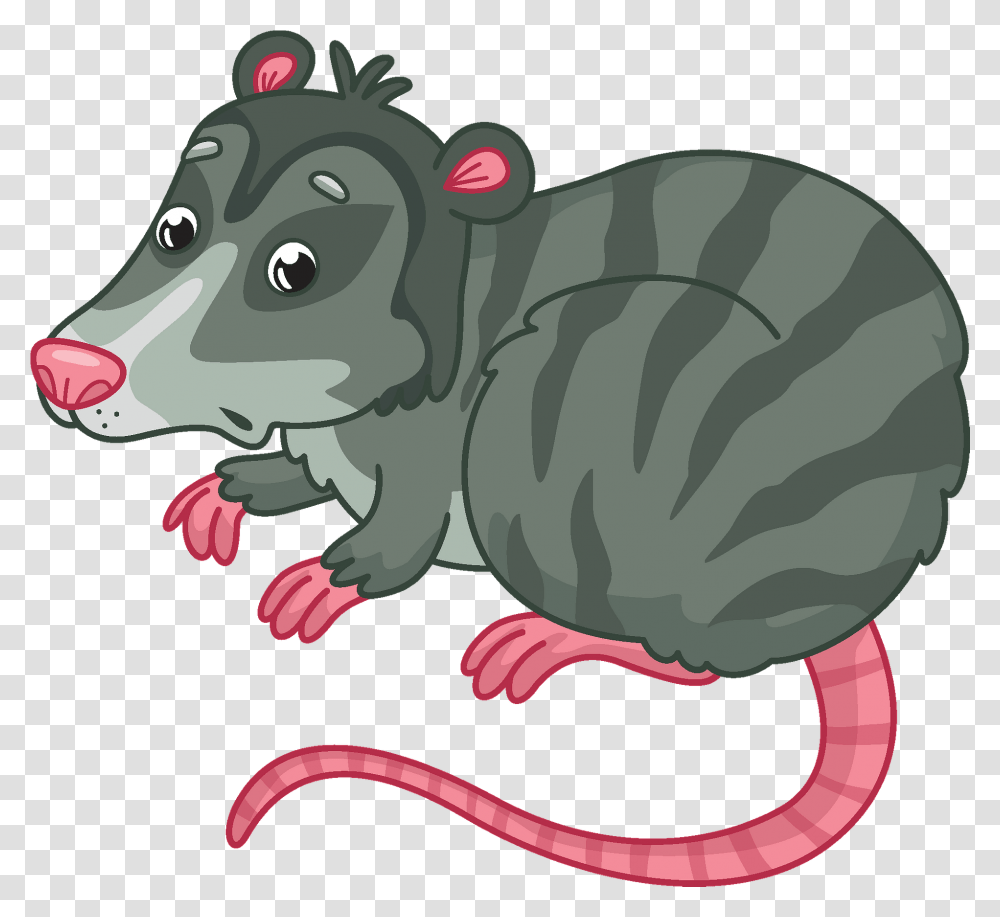 Opossum Clipart Rat, Animal, Mammal, Rodent, Hippo Transparent Png