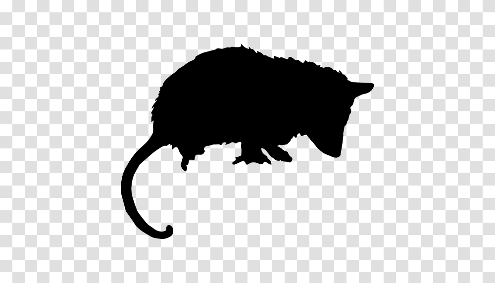 Opossum Mammal Animal Silhouette Free Vector Icons Designed, Rodent, Mole, Stencil, Wildlife Transparent Png