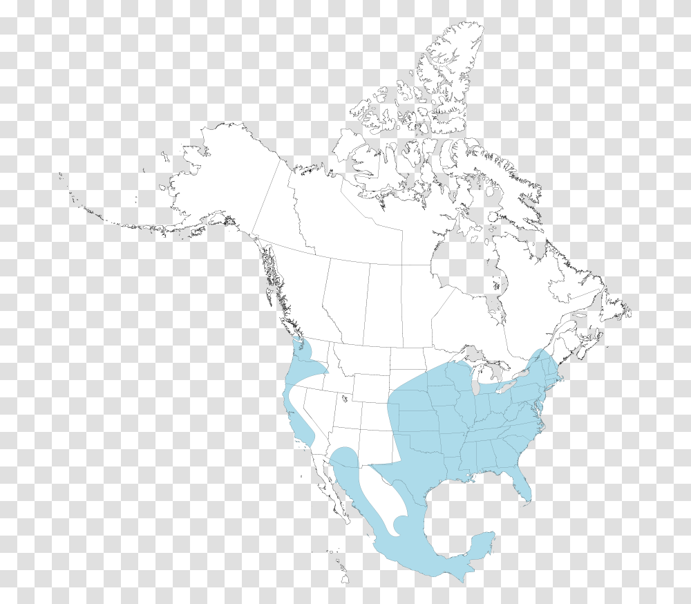 Opossum Map North America Map, Diagram, Plot, Atlas, Bird Transparent Png