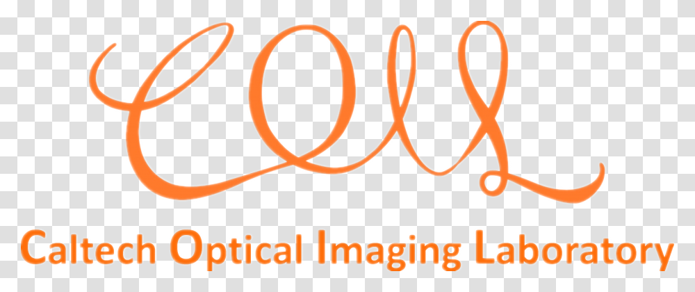 Optical Imaging Circle, Logo, Trademark Transparent Png