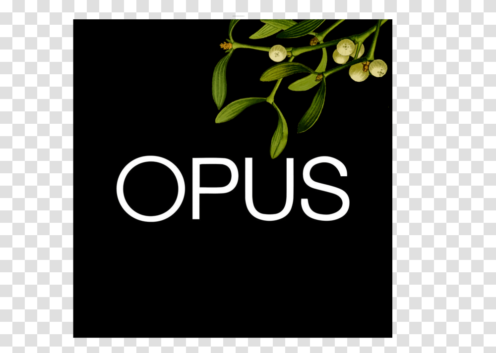 Opus Christmas Logo Graphic Design, Plant, Tree, Text, Leaf Transparent Png