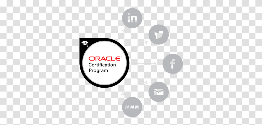Oracle Certification Badges Share Your Badge Logo Oracle Certification, Number, Symbol, Text, Diagram Transparent Png