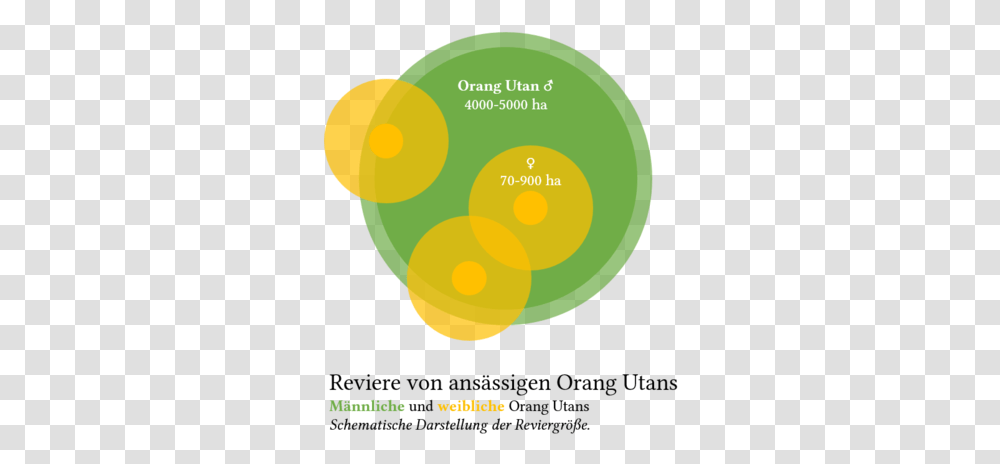 Orang Circle, Graphics, Art, Advertisement, Poster Transparent Png