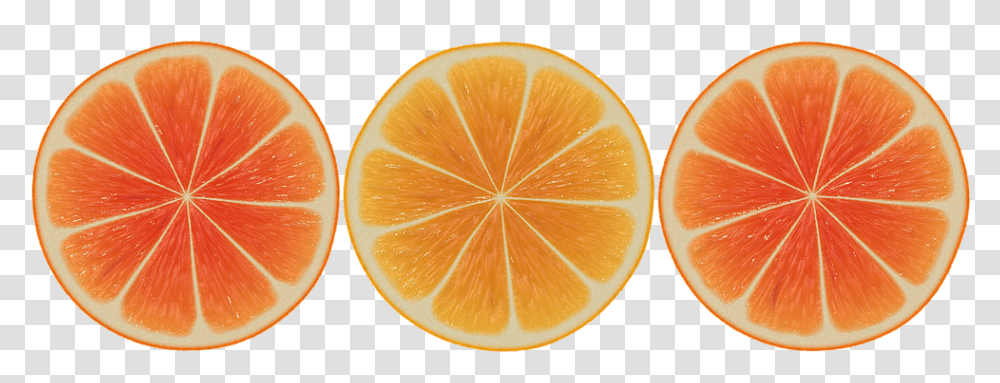 Orange Nature, Citrus Fruit, Plant, Food Transparent Png