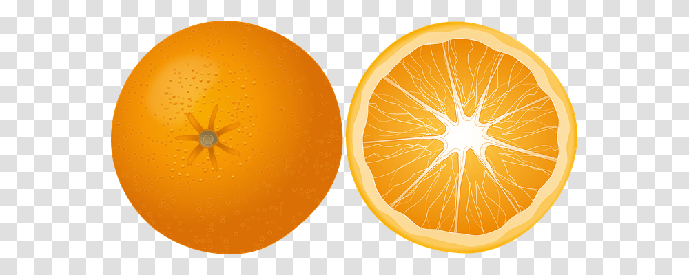 Orange Food, Plant, Citrus Fruit, Insect Transparent Png