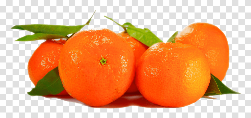 Orange 960, Fruit, Citrus Fruit, Plant, Food Transparent Png