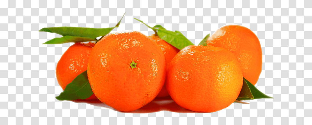 Orange Nature, Citrus Fruit, Plant, Food Transparent Png