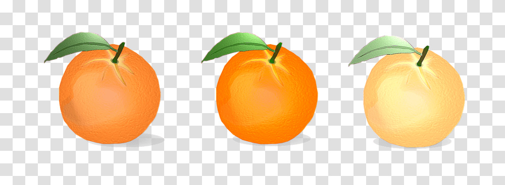 Orange Nature, Plant, Citrus Fruit, Food Transparent Png