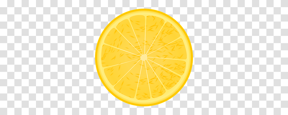 Orange Nature, Plant, Citrus Fruit, Food Transparent Png