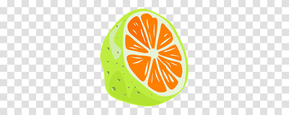 Orange Nature, Plant, Citrus Fruit, Food Transparent Png