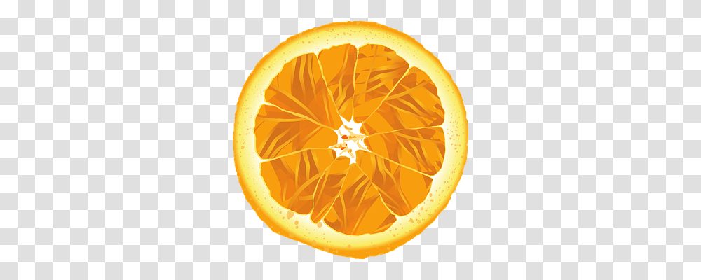 Orange Nature, Citrus Fruit, Plant, Food Transparent Png