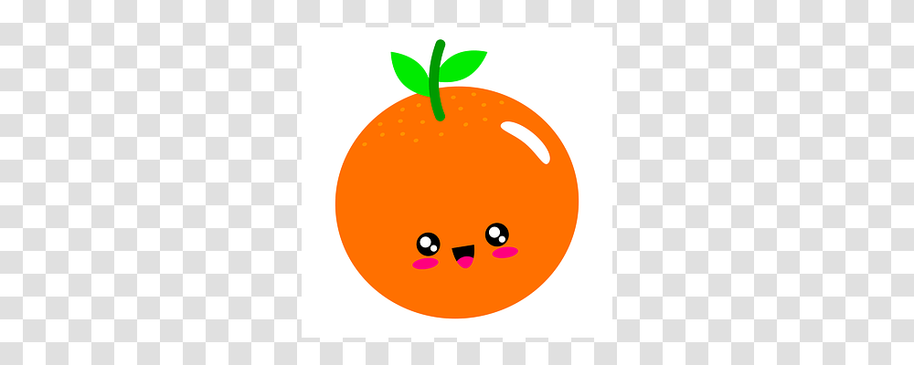 Orange Plant, Fruit, Food, Citrus Fruit Transparent Png