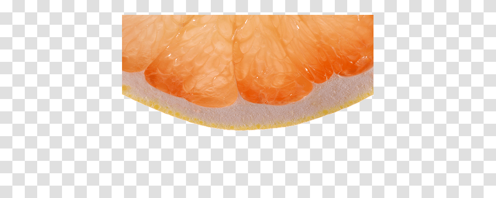 Orange Nature, Citrus Fruit, Plant, Food Transparent Png