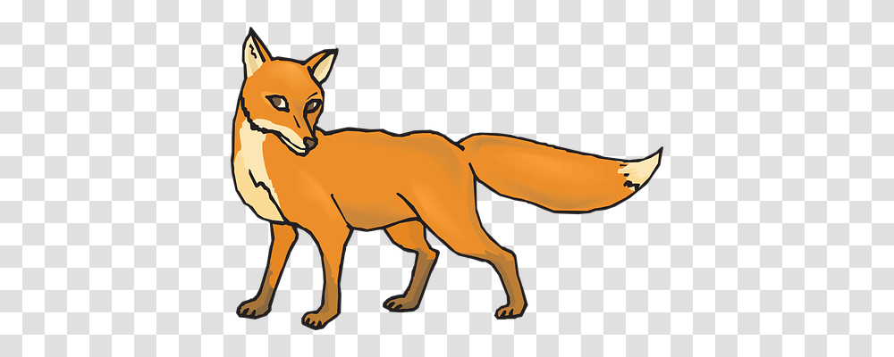 Orange Animals, Mammal, Wildlife, Fox Transparent Png
