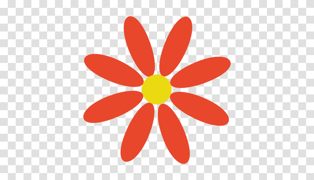 Orange Abstract Flower, Daisy, Plant, Daisies, Blossom Transparent Png