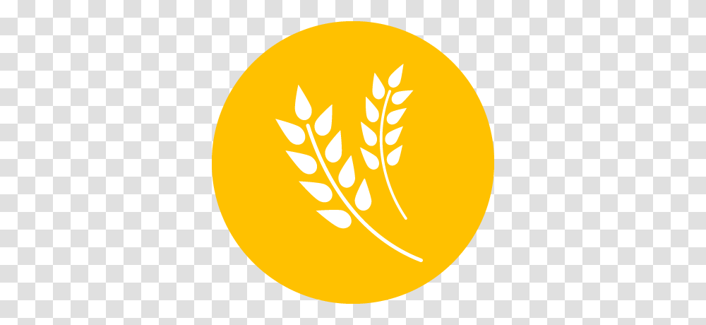Orange Agriculture Icon, Plant, Logo, Food Transparent Png