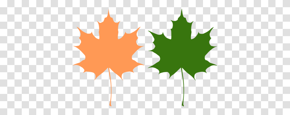 Orange And Green Maple Leaves Vector Drawing, Leaf, Plant, Tree, Maple Leaf Transparent Png