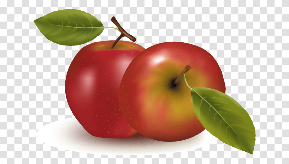 Orange Apple Apricot Cherry Plum Images Download Vector 8 Kinds Of Fruits, Plant, Food, Egg, Vegetable Transparent Png