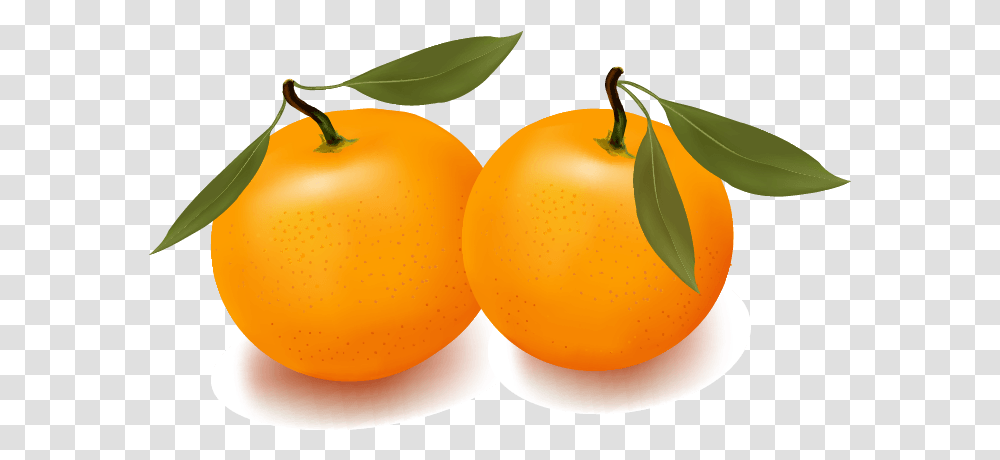 Orange Apple Apricot Cherry Plum Images Download Vector Fruits Vector, Plant, Food, Produce, Citrus Fruit Transparent Png