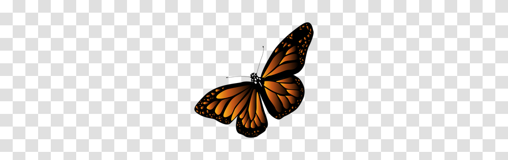 Orange Arrow Round Button, Insect, Invertebrate, Animal, Monarch Transparent Png