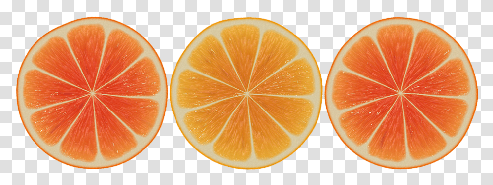 Orange Banner Orange Slices Design, Citrus Fruit, Plant, Food, Grapefruit Transparent Png