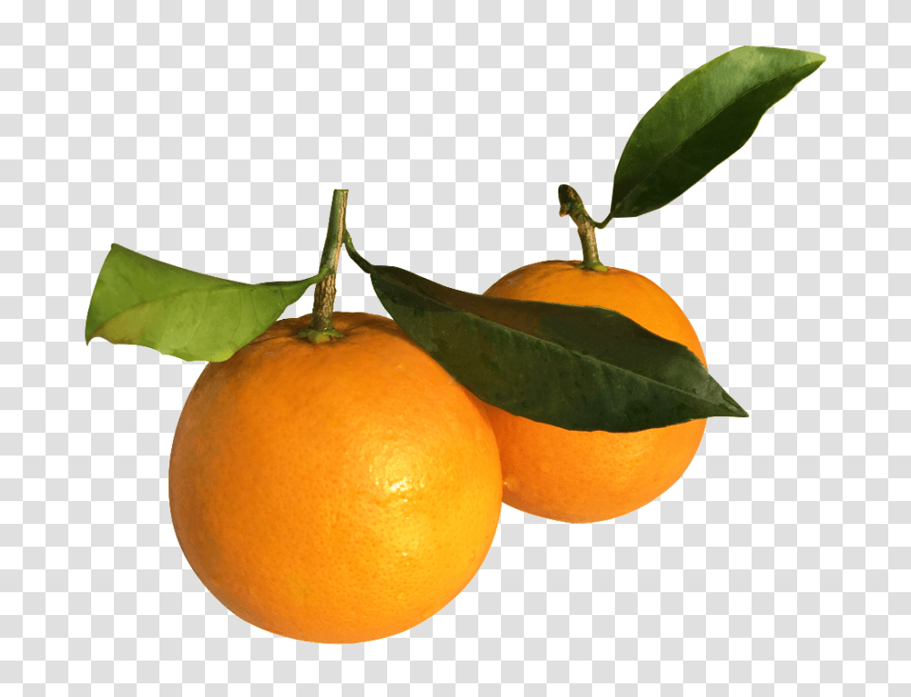 Orange Base Real Shot Free Download Vector, Citrus Fruit, Plant, Food, Leaf Transparent Png