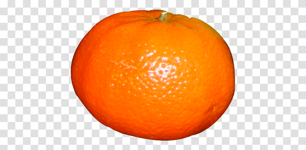 Orange Big Image Of Orange Fruit, Citrus Fruit, Plant, Food, Grapefruit Transparent Png