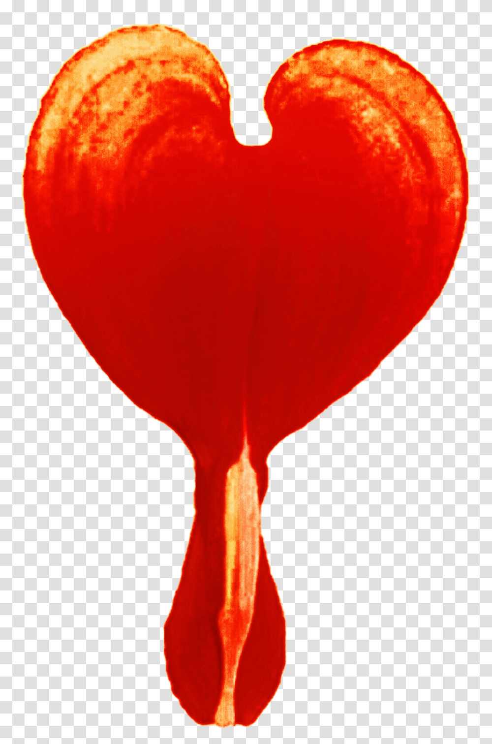 Orange Bleeding Heart, Balloon, Sweets, Food, Glass Transparent Png