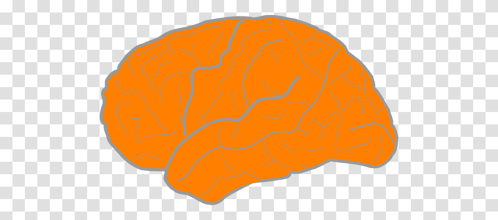 Orange Brain Clip Art, Plant, Food, Hair Transparent Png