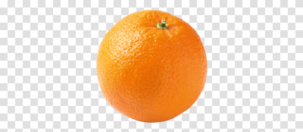 Orange Bsch Boden Spies Blood Orange, Citrus Fruit, Plant, Food, Produce Transparent Png