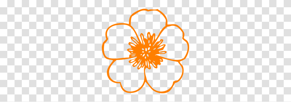 Orange Buttercup Flower Clip Art, Plant, Pollen, Anther, Blossom Transparent Png